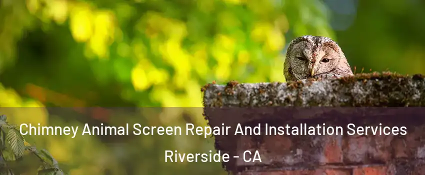  Chimney Animal Screen Repair And Installation Services Riverside - CA